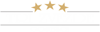 GOSTILNA TRI ZVEZDE ERIKA KURE S.P. logo